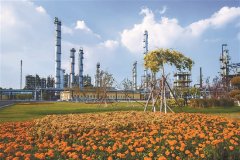 燃料油市场新机遇