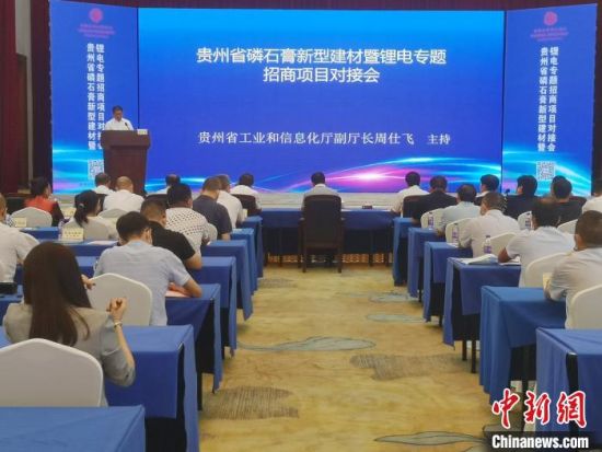 贵州在长沙举行磷石膏新型建材暨锂电专题招商项目对接会。　唐小晴　摄
