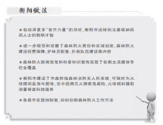 湖南衡阳探索森林防火地方法规立法工作侧记