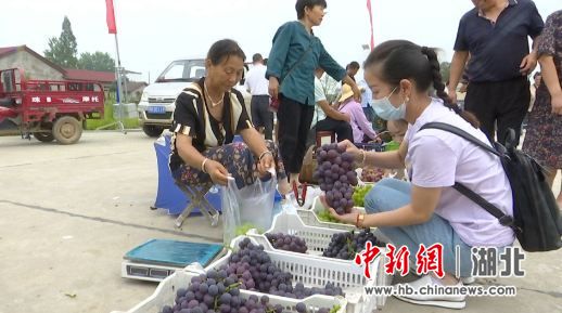 沙洋“人社惠民政策进万家”助力贫困村“摘帽”