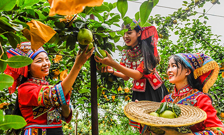 1593929028648575.png 202007057771.png