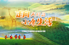 国家能源局研究部署电力行业防汛救灾工作