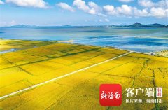 万宁小海生态美 稻香伴骑行