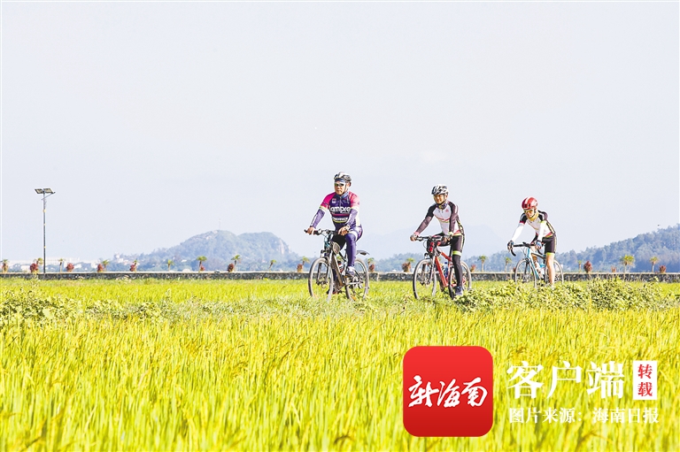 万宁小海生态美 稻香伴骑行