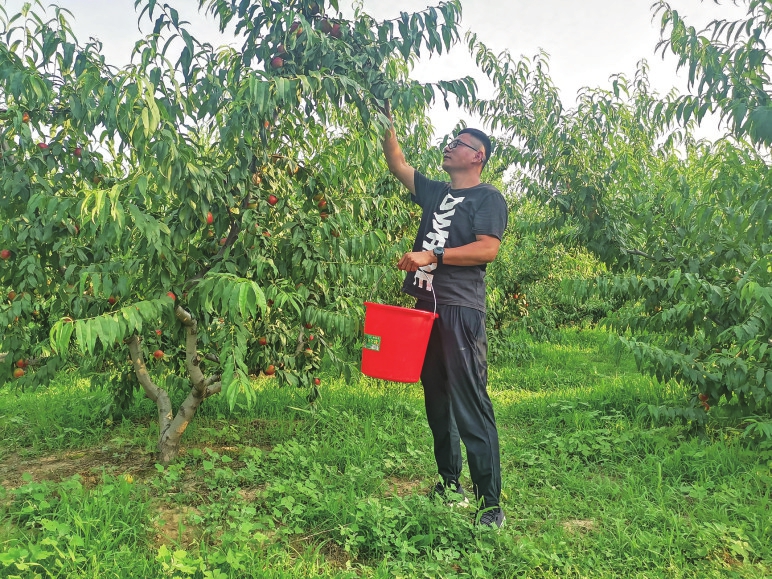 点亮创业梦 青春不散场