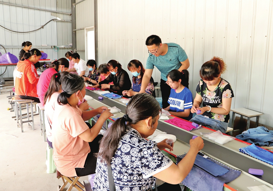 点亮创业梦 青春不散场