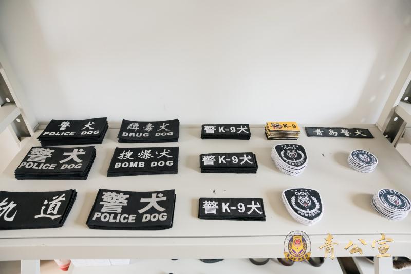 乘风破浪汪汪队