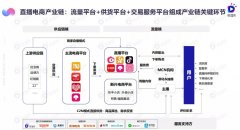 微播易发布《2020电商直播行业研究报告》，破局
