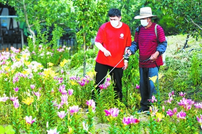 打造百合文化园，建设家庭小菜园，引入农大科