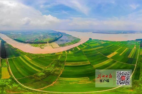 多措并举!荆州“上下联动”筑牢防汛安全屏障