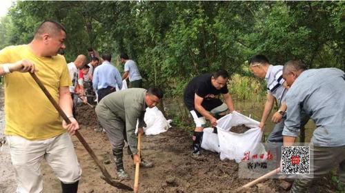 多措并举!荆州“上下联动”筑牢防汛安全屏障