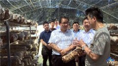 吴维强到五龙洞镇检查调研脱贫产业
