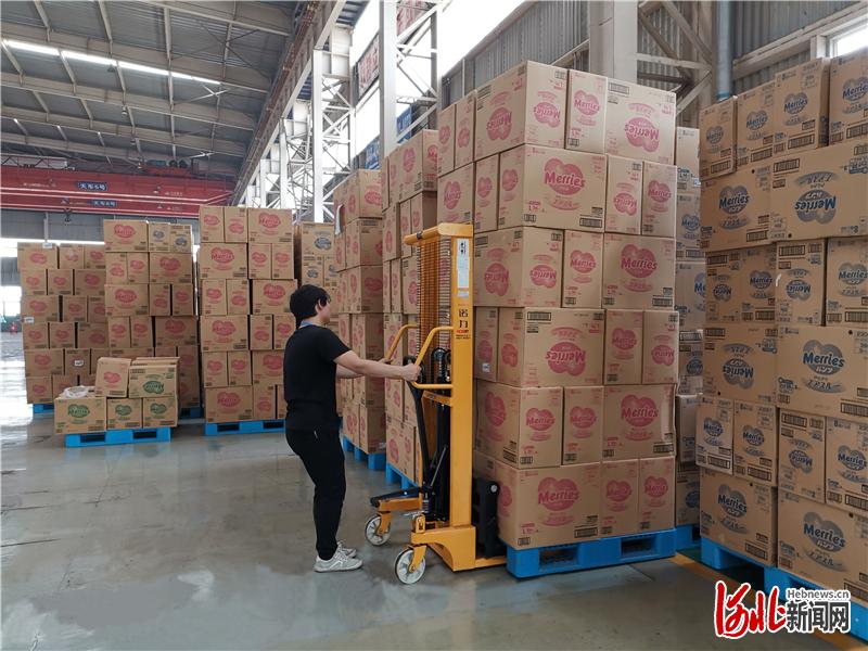 新闻纵深｜河北：跨境电商起势，助力外贸克难