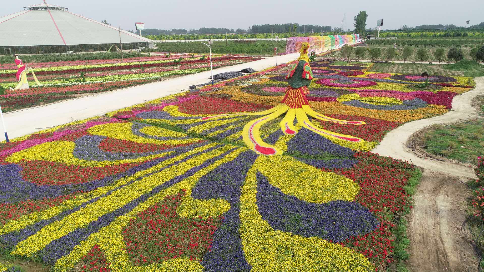 现代农业：前进中的河南源色生态农业股份有限公司