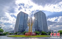 江苏自贸区南京片区打造市场监管一体化智慧平台