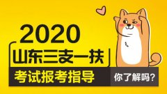 2020山东三支一扶政策解读！2020山东三支一扶待遇