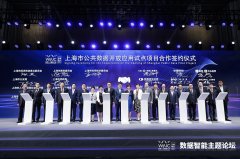 2020年首批公共数据开放应用试点项目合作上海集