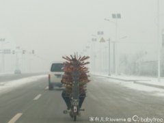 春节趣事！