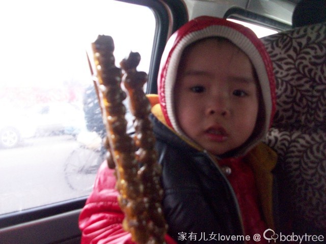 journal_insert_pic_99511442