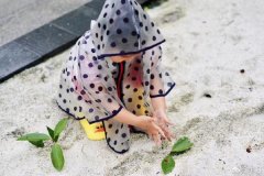 朱丹分享女儿趣事 小小丹穿雨衣种树叶天真烂漫