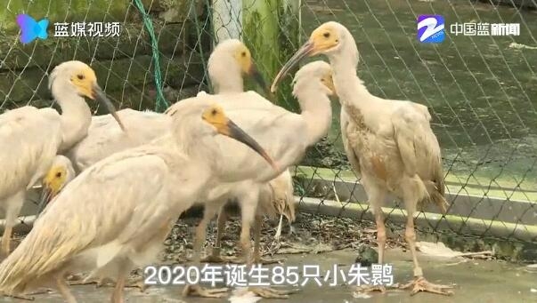 【蓝媒头条榜】浙江各地各高校学生资助政策咨询电话公布；奋战抗洪一线，他们留下了特殊的“印记”