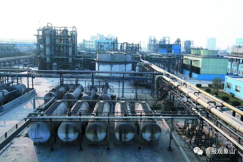 “高大上”项目加持，胶州湾东岸这片区域将再