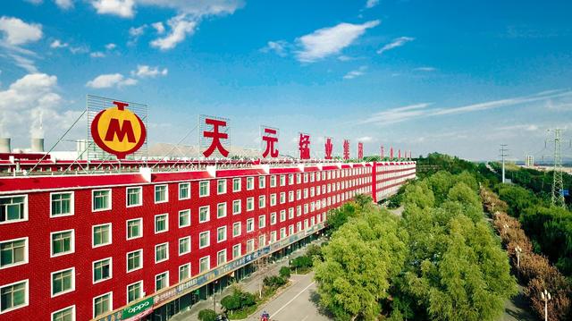 宁夏天元锰业集团荣获自治区绿色工厂和制造业行业领先示范企业