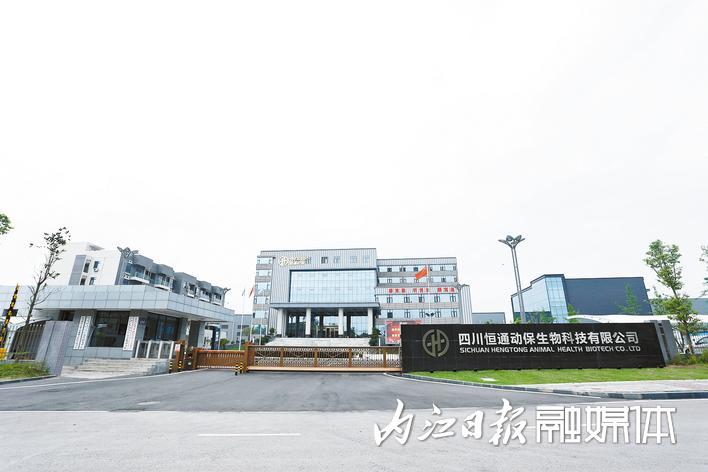 四川恒通动保生物科技有限公司：“三像”文化为引领，创受世界尊重的动保企业