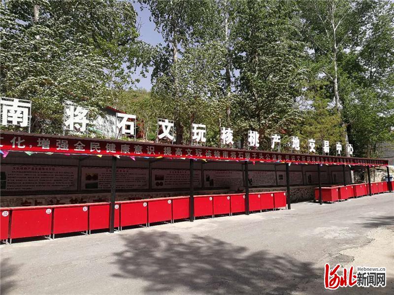 河北融媒头条｜河北省涿鹿县南山区产业扶贫揭秘：百年老树开枝散叶带出扶贫大产业