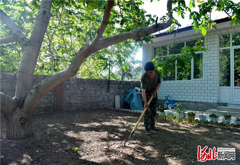 河北融媒头条｜河北省涿鹿县南山区产业扶贫揭秘：百年老树开枝散叶带出扶贫大产业