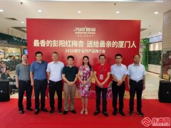 春赏杏花美夏品红梅香 闽宁协作彭阳红梅杏在厦上市