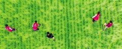 众志成城 决战梅汛 浙江各地这样干