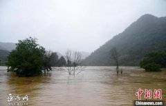 岳西：全力防大汛，确保群众生命安全