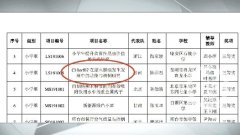 视频｜小学生参赛课题堪比研究生 是奇迹吗？