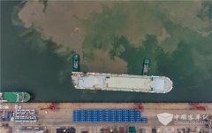 全球最大双源无轨电车订单！130辆宇通客车发往