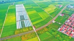 关注河南省农业高质量发展之二