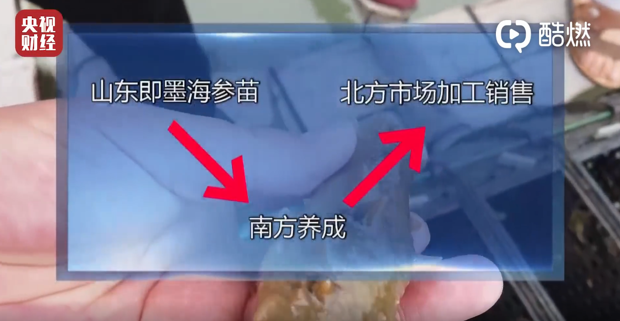3·15曝光完整名单！企业排队致歉 电商火速下架