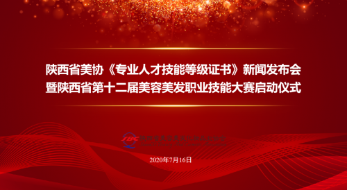 陕西省美协《专业人才技能等级证书》新闻发布会圆满召开