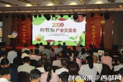 2020中国（眉县）猕猴桃产业交流会召开