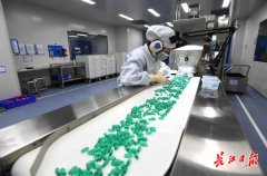 武汉连续5年每年都有大健康企业上市，国内行业