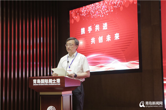 打造“一小时经济圈” 胶东半岛五市共绘交通一