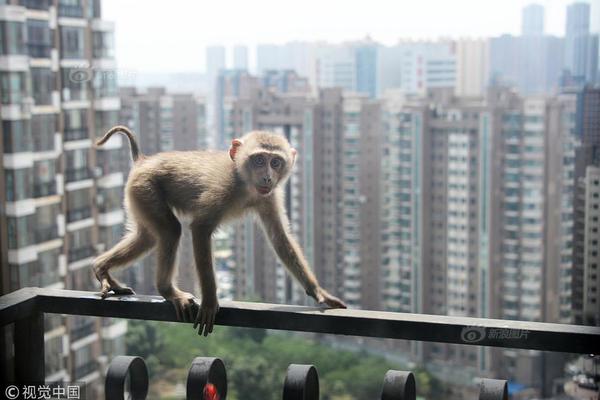 扬子晚报人才招聘版活动中