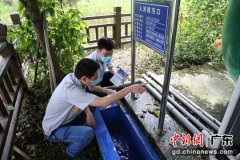 梅州丰顺税务赋能环保企业扩能增效护航绿色发