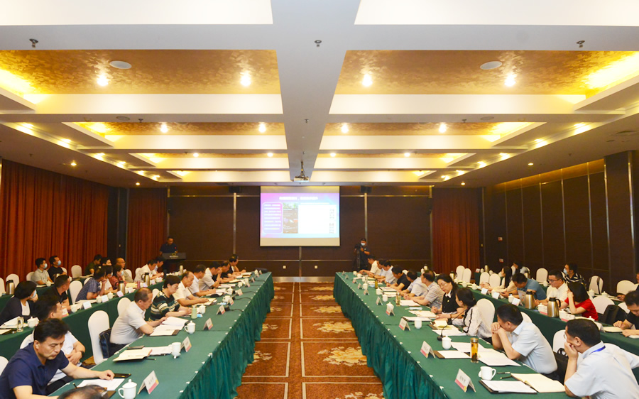 帮助企业纾困解难，培育壮大数字文旅加速产业提质升级—河南省文化和旅游厅在洛阳召开“六稳”“六保”工作推进会