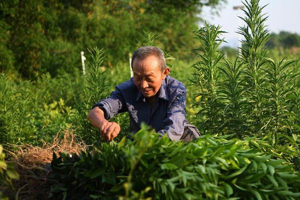 [消费主张]美味的烤榴莲 赶紧来尝尝吧！