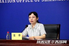 如何评价上半年陕西经济形势？省统计局新闻发