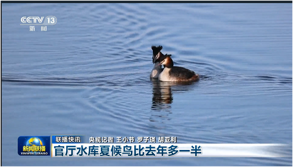 《新闻联播》《焦点访谈》改版升级！这些幕后