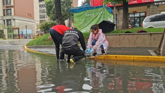 太湖防汛进入战时状态，科技利器筑起“安全堤”