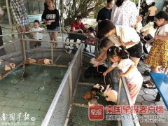 计算机网络 科技 出版物排行榜