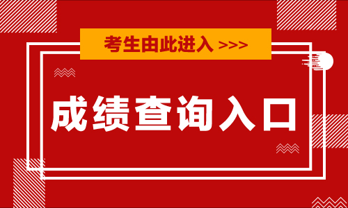 2020广东省高考成绩查询通道-广东教育考试服务网